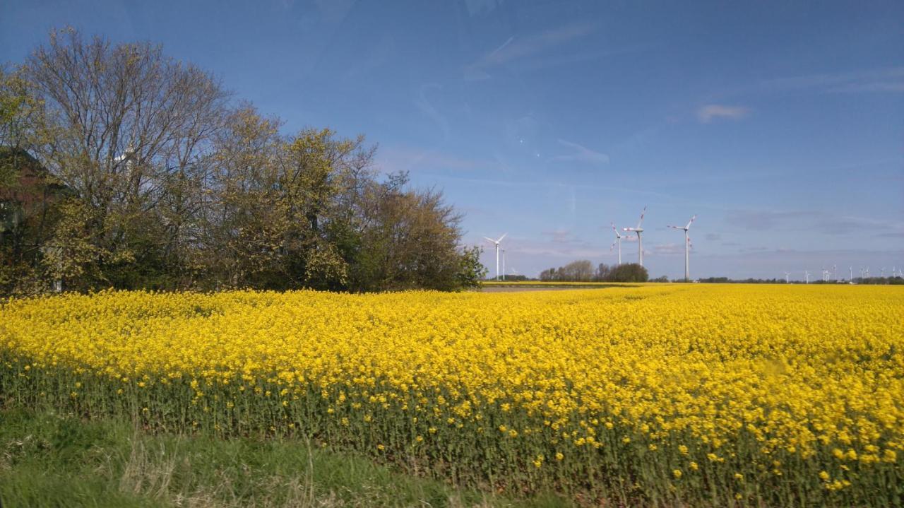 Villa Am Deich Westerdeichstrich Buitenkant foto